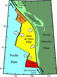 Cascadia subduction zone